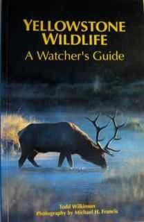 Book cover for Yellowstone National Park