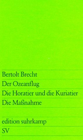 Book cover for Der Ozeanflug