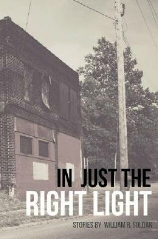 Cover of In Just the Right Light