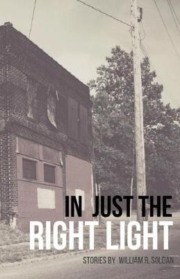 Book cover for In Just the Right Light