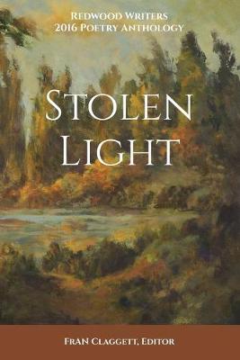 Book cover for Stolen Light