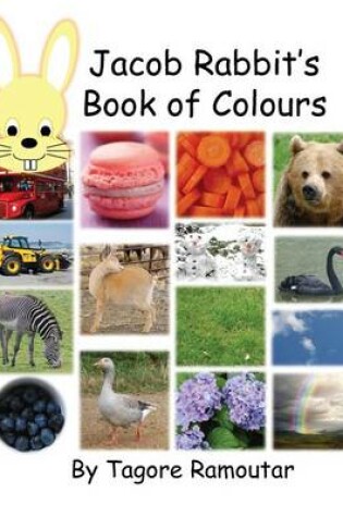 Cover of Jacob Rabbit's Book of Colour