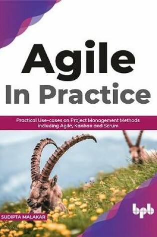 Cover of AGILE in Practice