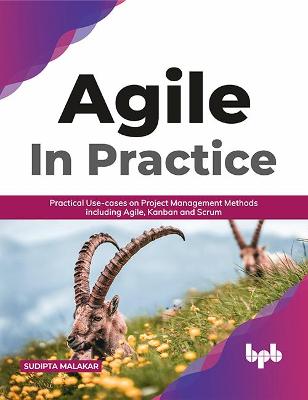 Book cover for AGILE in Practice