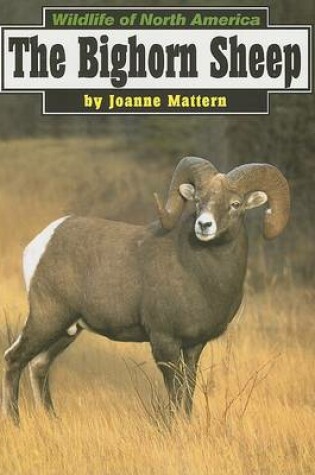 Cover of The Bighorn Sheep