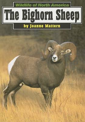 Book cover for The Bighorn Sheep