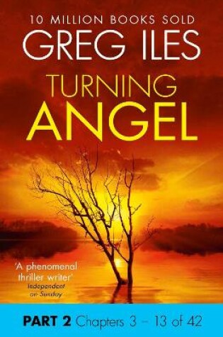 Cover of Turning Angel: Part 2, Chapters 3 to 13