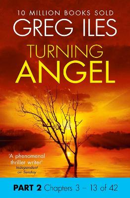 Book cover for Turning Angel: Part 2, Chapters 3 to 13