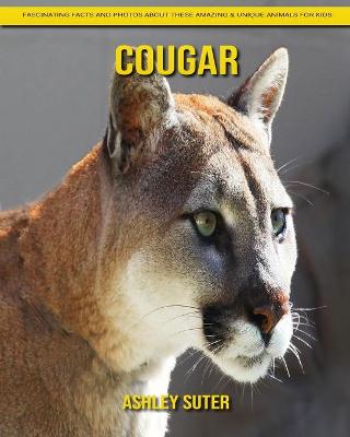 Book cover for Cougar