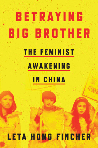 Cover of Betraying Big Brother