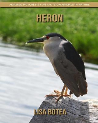 Book cover for Heron