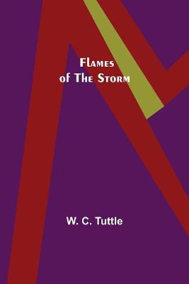 Book cover for Flames of the Storm