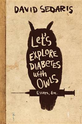 Book cover for Let's Explore Diabetes with Owls