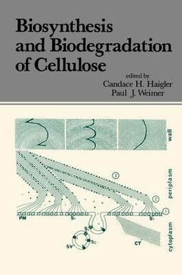 Book cover for Biosynthesis and Biodegradation of Cellulose