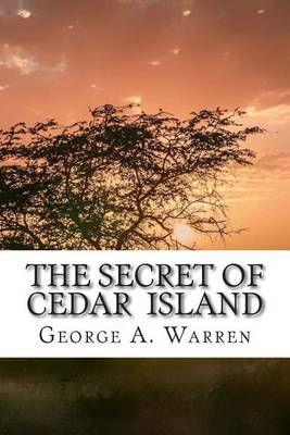 Book cover for The Secret of Cedar Island