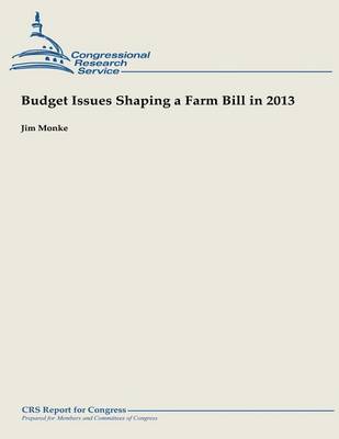 Book cover for Budget Issues Shaping a Farm Bill in 2013