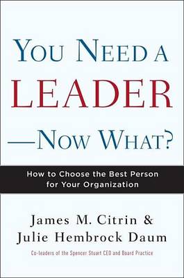 Book cover for You Need a Leader--Now What?