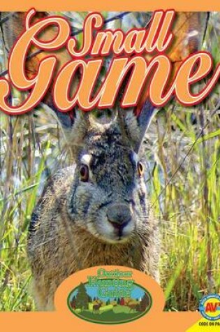 Cover of Small Game