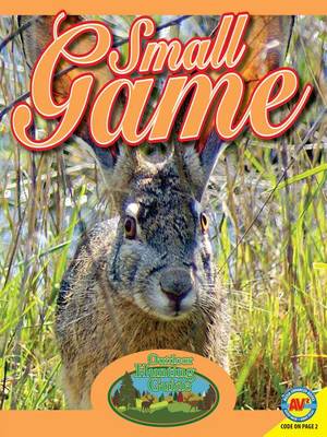 Cover of Small Game