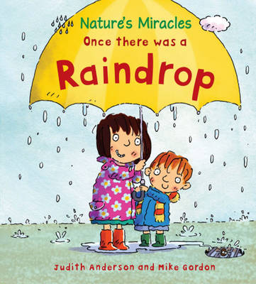 Book cover for Once there was a Raindrop