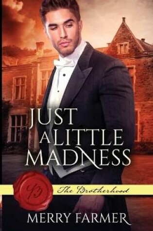 Cover of Just a Little Madness