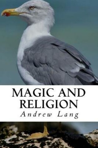 Cover of Magic and Religion