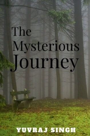 Cover of The mysterious journey