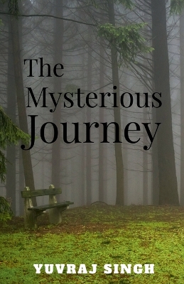 Book cover for The mysterious journey