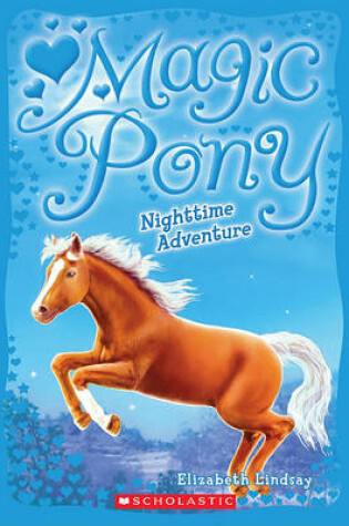 Cover of Nighttime Adventure