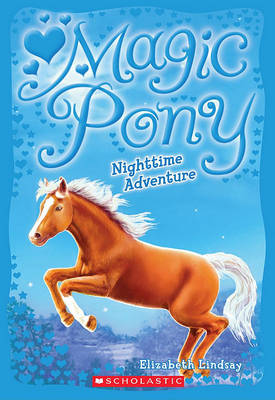 Cover of Nighttime Adventure