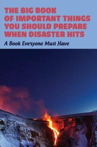 Cover of The Big Book Of Important Things You Should Prepare When Disaster Hits