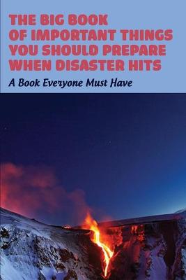 Cover of The Big Book Of Important Things You Should Prepare When Disaster Hits