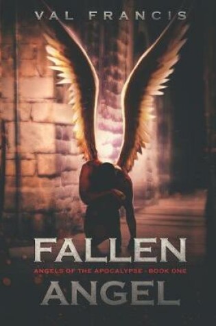 Cover of Fallen Angel