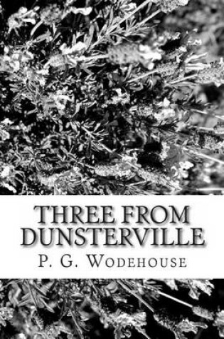 Cover of Three from Dunsterville