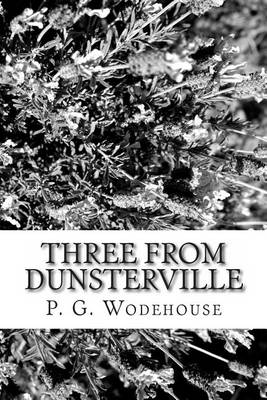 Book cover for Three from Dunsterville