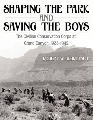 Book cover for Shaping the Park and Saving the Boys