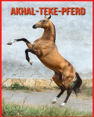 Book cover for Akhal-Teke-Pferd