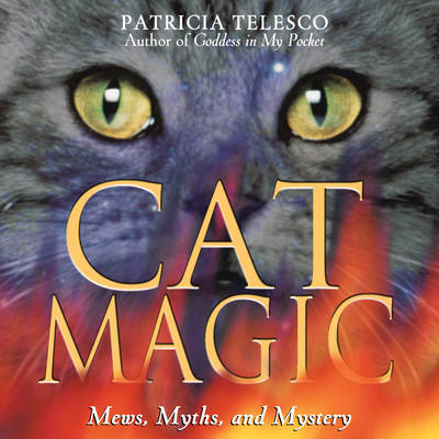 Book cover for Cat Magic