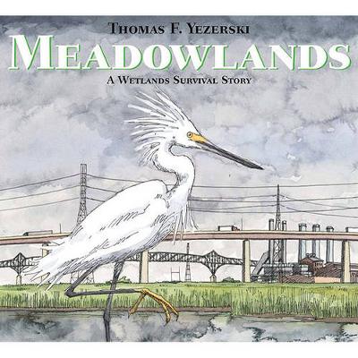 Book cover for Meadowlands