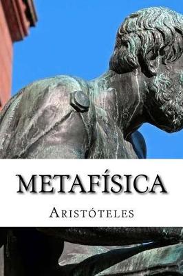 Book cover for Metaf sica