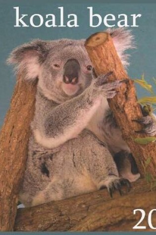 Cover of koala bear