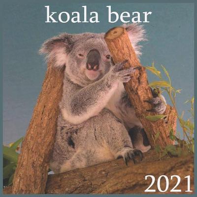 Book cover for koala bear