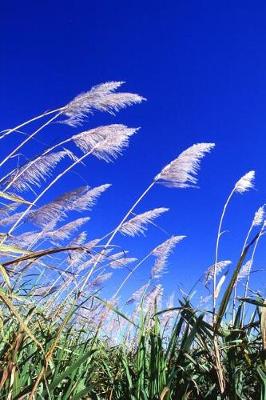 Book cover for Sugarcane Field in Florida Journal