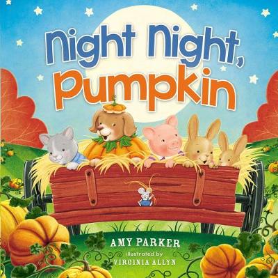 Book cover for Night Night, Pumpkin