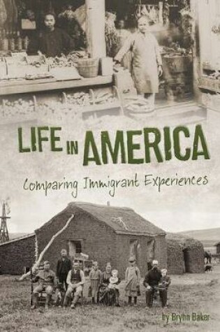 Cover of Life in America