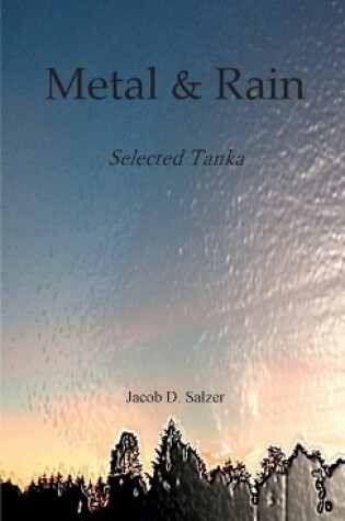 Cover of Metal & Rain