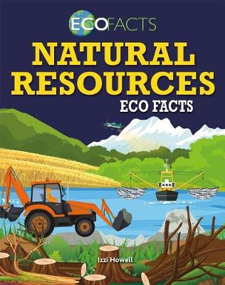 Book cover for Natural Resources Eco Facts