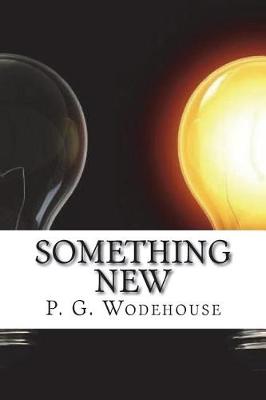 Book cover for Something New