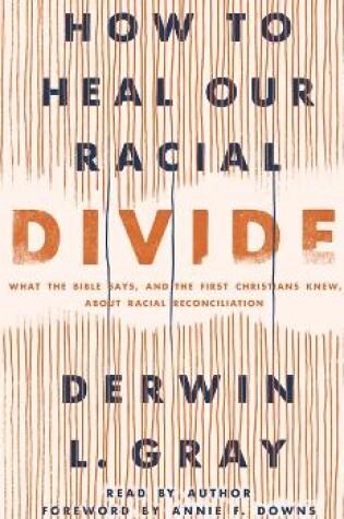 Cover of How to Heal Our Racial Divide