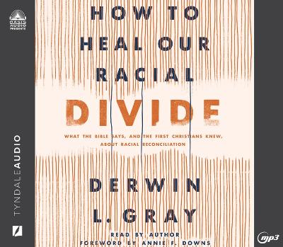 Book cover for How to Heal Our Racial Divide